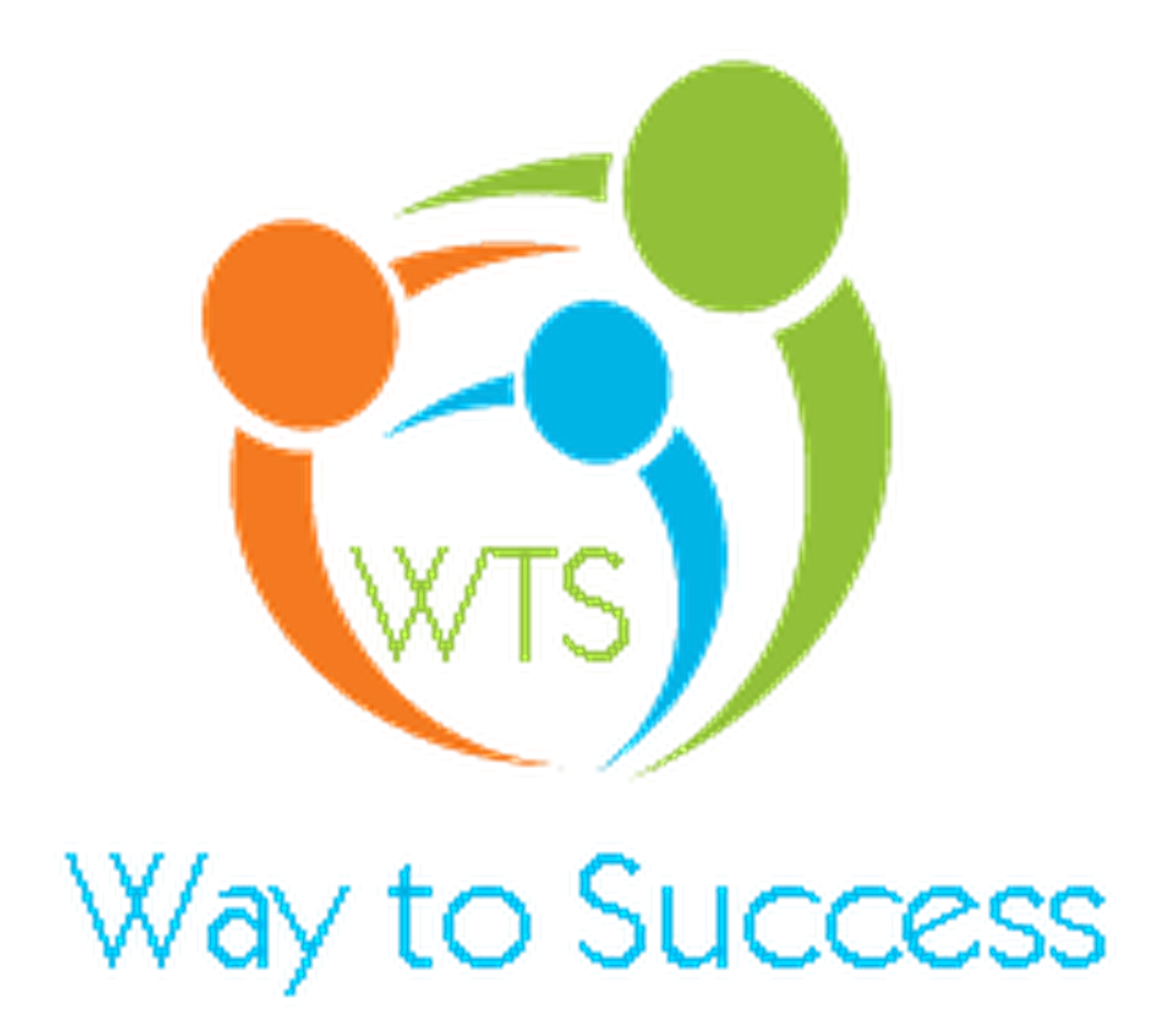 Way To Success logo mark